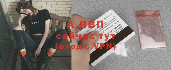 эйфоретик Козельск
