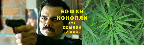 spice Кодинск
