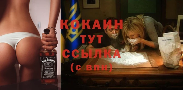 spice Кодинск