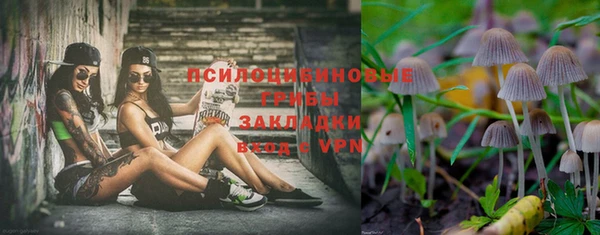 spice Кодинск